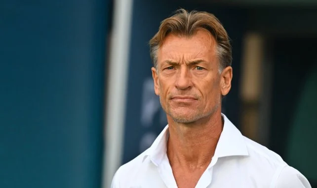 Officiel : Hervé Renard de retour sur le banc de la Côte d'Ivoire !